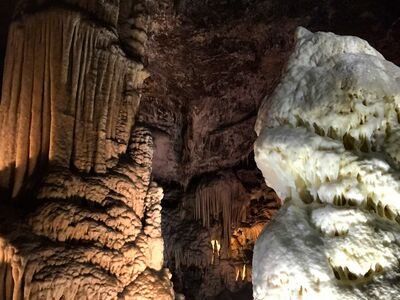 Höhle von Postojna | Wir empfehlen die Besichtigung der Postojna-Höhle auf der Hin- oder Rückfahrt nach Istrien. Ansonsten sollte man ein Tagesausflug einplanen.