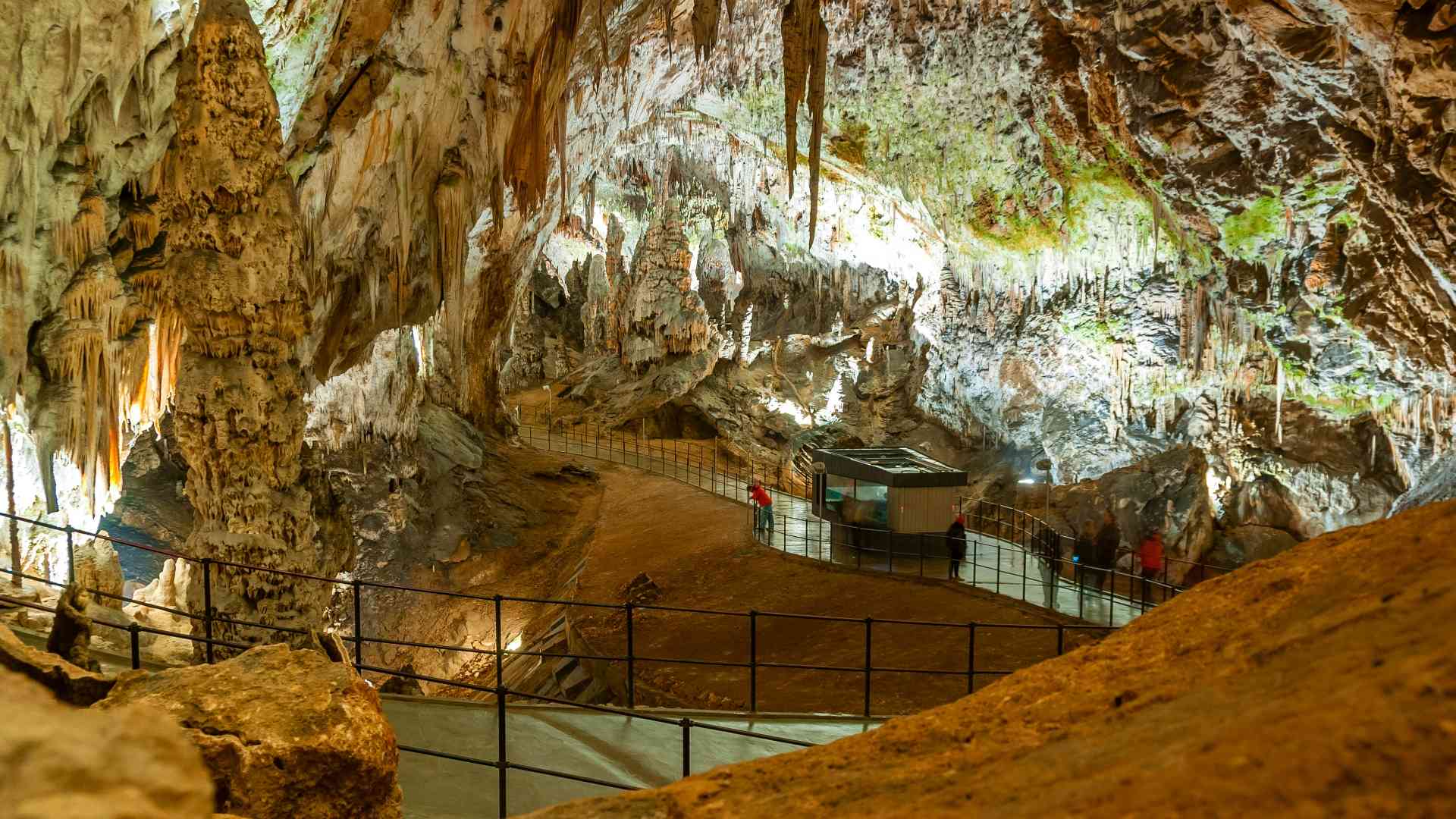 Höhle von Postojna | 24 Kilometer großes Geflecht aus Höhlen, Galerien und Sälen, die bisher in über 200 Jahren mehr als 39 Millionen Besucher besichtigt haben. [Foto von Ivan Ivankovic]